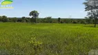 Foto 15 de Fazenda/Sítio com 3 Quartos à venda, 977000m² em Zona Rural, Nova Crixás
