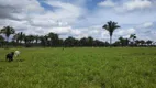 Foto 10 de Fazenda/Sítio com 2 Quartos à venda, 350m² em Zona Rural, São Geraldo do Araguaia