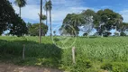 Foto 5 de Fazenda/Sítio com 3 Quartos à venda, 484m² em , Formoso do Araguaia