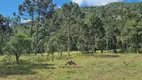 Foto 9 de Fazenda/Sítio à venda, 20000m² em Rural, Rio Rufino