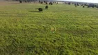 Foto 5 de Fazenda/Sítio à venda, 15972000m² em Zona Rural, Britânia