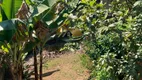 Foto 5 de Fazenda/Sítio com 5 Quartos à venda, 350m² em Terra Preta Terra Preta, Mairiporã