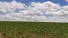 Foto 30 de Fazenda/Sítio com 3 Quartos à venda, 18600000m² em Zona Rural, Catalão