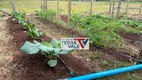 Foto 43 de Fazenda/Sítio com 3 Quartos à venda, 230m² em , Paraisópolis