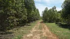 Foto 6 de Fazenda/Sítio com 1 Quarto à venda, 20000m² em Asa Norte, Brasília