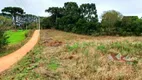 Foto 4 de Fazenda/Sítio com 1 Quarto à venda, 6000m² em Campo Largo da Roseira, São José dos Pinhais