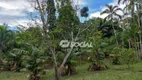 Foto 26 de Fazenda/Sítio com 1 Quarto à venda, 80m² em Area Rural de Porto Velho, Porto Velho