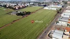 Foto 5 de Lote/Terreno à venda, 25240m² em Parque Industrial Jose Belinati, Londrina