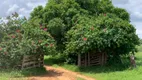 Foto 7 de Fazenda/Sítio à venda em Centro, Jaíba