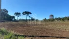 Foto 2 de Lote/Terreno à venda, 86000m² em Arujá, São José dos Pinhais
