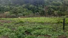 Foto 20 de Fazenda/Sítio com 2 Quartos à venda, 150m² em Brigadeiro Tobias, Sorocaba