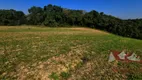 Foto 6 de Fazenda/Sítio com 1 Quarto à venda, 60000m² em Campo Largo da Roseira, São José dos Pinhais