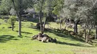 Foto 20 de Fazenda/Sítio à venda, 14346m² em Linha Araripe, Gramado