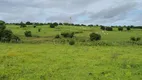 Foto 8 de Fazenda/Sítio com 3 Quartos à venda, 30000m² em Monte Alegre, Monte Alegre