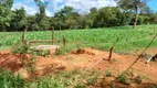 Foto 15 de Fazenda/Sítio com 3 Quartos à venda, 500000m² em Area Rural de Planaltina, Planaltina