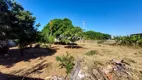 Foto 5 de Lote/Terreno para venda ou aluguel, 1170m² em Parque Santa Felícia Jardim, São Carlos