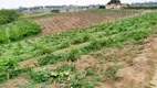 Foto 2 de Fazenda/Sítio com 4 Quartos à venda, 100m² em Macuco, Valinhos