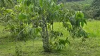 Foto 6 de Fazenda/Sítio com 2 Quartos à venda, 20000m² em Melgaco, Domingos Martins