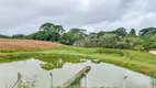 Foto 8 de Fazenda/Sítio à venda, 53000m² em Cachoeira, São José dos Pinhais
