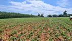 Foto 5 de Fazenda/Sítio à venda, 30000m² em Area Rural de Santo Antonio de Posse, Santo Antônio de Posse