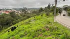 Foto 8 de Lote/Terreno à venda, 242m² em Quinta dos Angicos, Cotia