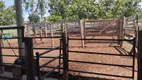 Foto 4 de Fazenda/Sítio com 2 Quartos à venda, 13000m² em Zona Rural, Faina