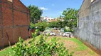 Foto 17 de Lote/Terreno à venda, 320m² em Jardim São Domingos, Americana