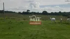 Foto 23 de Fazenda/Sítio à venda, 4840000m² em Centro, Mozarlândia