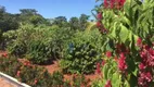 Foto 6 de Fazenda/Sítio com 3 Quartos à venda, 80m² em Rural, Centenário do Sul