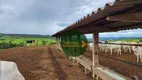 Foto 16 de Fazenda/Sítio com 3 Quartos à venda, 11906400m² em Zona Rural, Pirenópolis