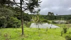 Foto 11 de Fazenda/Sítio com 4 Quartos à venda, 24870m² em Borda do Campo, São José dos Pinhais