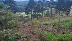 Foto 6 de Lote/Terreno à venda, 975m² em Fazenda Suica, Teresópolis