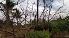 Foto 17 de Fazenda/Sítio à venda, 45000m² em Brazlândia, Brasília