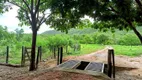 Foto 12 de Fazenda/Sítio com 2 Quartos à venda, 29m² em Zona Rural, Colinas do Sul