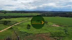 Foto 7 de Fazenda/Sítio à venda, 2420000m² em Zona Rural, Ipameri