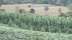 Foto 41 de Fazenda/Sítio com 2 Quartos à venda, 338800m² em Zona Rural, Angatuba