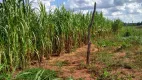 Foto 5 de Fazenda/Sítio à venda, 55000m² em Zona Rural, Campo Grande