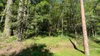 Foto 4 de Lote/Terreno à venda, 741m² em Pinheiro Grosso, Canela