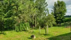 Foto 35 de Fazenda/Sítio com 3 Quartos à venda, 150m² em Zona Rural, Quadra