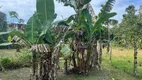 Foto 36 de Fazenda/Sítio com 3 Quartos à venda, 3000m² em América de Cima, Morretes