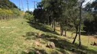 Foto 5 de Fazenda/Sítio com 2 Quartos à venda, 4900m² em Pantanal, Florianópolis