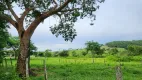 Foto 17 de Fazenda/Sítio com 4 Quartos à venda em Zona Rural, Aragoiânia