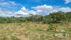 Foto 12 de Fazenda/Sítio com 8 Quartos à venda, 5000m² em Zona Rural, Cocalzinho de Goiás