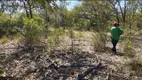 Foto 7 de Fazenda/Sítio à venda, 15000000m² em Centro, São Félix do Araguaia