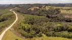 Foto 14 de Fazenda/Sítio com 3 Quartos à venda, 200m² em Tres Corregos, Campo Largo