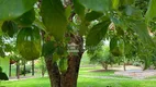 Foto 32 de Fazenda/Sítio com 6 Quartos à venda, 500m² em Rio de Una, Ibiúna