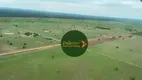 Foto 10 de Fazenda/Sítio à venda, 31460000m² em Zona Rural, Araguaiana