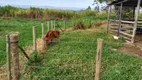 Foto 13 de Fazenda/Sítio com 1 Quarto à venda, 605000m² em , Cachoeira Paulista