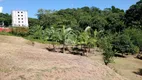 Foto 14 de Lote/Terreno à venda, 870m² em Ilha da Figueira, Jaraguá do Sul