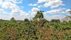 Foto 17 de Fazenda/Sítio com 3 Quartos à venda, 462m² em , Cristais Paulista